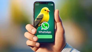 WhatsApp: qué es el 'modo canario' y cómo activarlo en tu celular