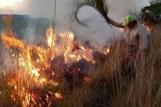 Alerta por incendios en Corrientes que arrasan miles de hectáreas