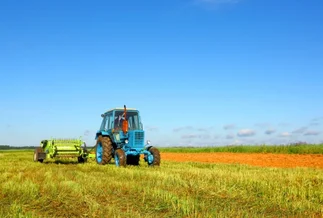 Efecto fin de las retenciones cero: el agro liquidó un 84% menos dólares en octubre