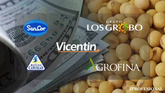 Por qué Vicentin, Los Grobo, SanCor y otros gigantes quiebran en el granero del mundo