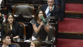 Marcela Pagano dispara contra Martín Menem: 'Interrumpir a un orador es de fascista'
