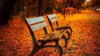 Los 3 mejores lugares para disfrutar del otoño, la Patagonia y la Puna