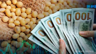 La Justicia dictó fallo millonario por el dólar soja y abre un frente de alto impacto