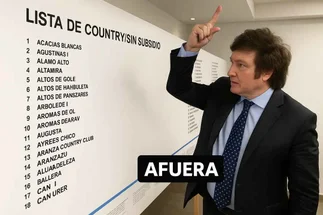 Subsidios de luz y gas: revisá si tu country está en la lista de exclusión de Milei
