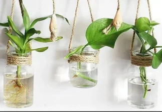 Si guardás frascos de vidrio, tenés un tesoro: 7 ideas creativas para reciclarlos