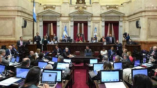 Sesión en el Senado: federalismo adolescente y eficiencia ausente