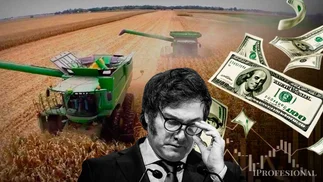 Cuál es el gran dilema que enfrenta Javier Milei con la baja de las retenciones
