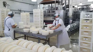 Reconocida láctea reactivó su usina y salva decenas de empleos en un pueblo en crisis