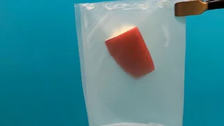 Un bioplástico inspirado en las hojas podría destronar al plástico convencional