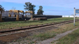 Tren a Mar del Plata cambia su frecuencia por obras: qué días no funcionará