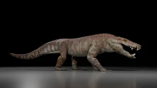 Hallan un cocodrilo desconocido en la Patagonia que vivió junto a los últimos dinosaurios