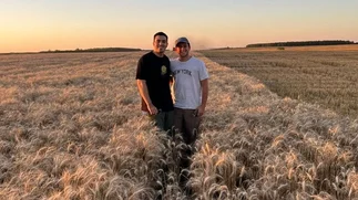 Chau plástico: cómo se fabrican los primeros sorbetes de trigo 100% argentinos