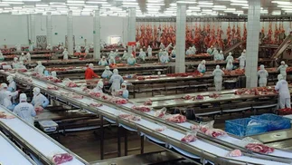 Crisis en los frigoríficos: Pico suspende a 450 empleados