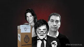 La Justicia Electoral rechazó que LLA ponga afiches de Santilli en los lugares de votación
