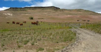 Neuquén activa un plan urgente por sequía extrema para sostener la actividad agropecuaria
