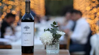 ¿Cómo se hace un vino de clase mundial?: esta bodega lo revela con su ícono