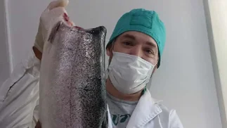 VIDEO | Negocio inédito: usan restos de pescado descartados para crear medicamentos