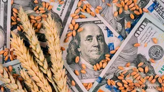 Por qué Argentina tuvo que comprarle trigo de Paraguay por primera vez en la historia