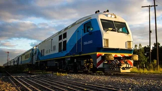 Trenes a Mar del Plata y Rosario en junio: cómo viajar con tu mascota