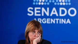Bullrich cuestionó los cambios en Discapacidad y pidió corregir el Presupuesto 2027