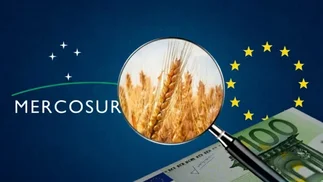 Qué oportunidades inéditas se abren para productos argentinas con acuerdo Mercosur-UE