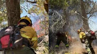 El plan de Javier Milei para terminar con los incendios en el sur