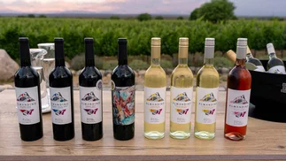 Bodega Dal Borgo: hospitalidad de altura en el corazón silencioso del Valle Calchaquí