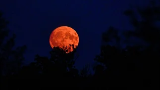 La Luna se teñirá de rojo y se podrá ver desde Argentina: qué día será el eclipse total