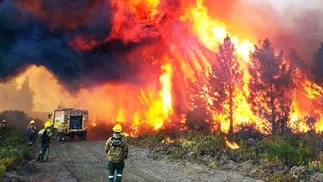 Alarma por incendios: el Gobierno declaró Emergencia Ígnea en 4 provincias