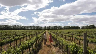 Vinos, paisajes y experiencias: la Ruta del Vino que pone a La Pampa en el mapa turístico