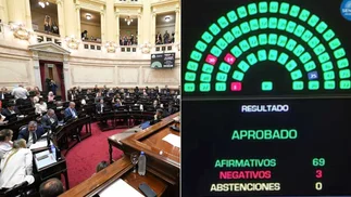 Quiénes fueron los tres senadores que votaron en contra del acuerdo Mercosur-UE