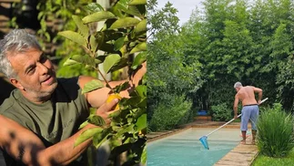 El pequeño paraíso donde vive Mario Massaccesi: tiene un jardín ideal y pileta soñada