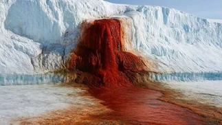 Parece sangre real: las fotos de la cascada que tiñe de rojo el hielo en la Antártida