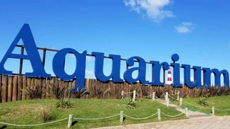 Animales del Aquarium quedaron sin destino tras la quiebra y buscan donarlos