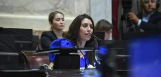 Unión por la Patria se opuso al proyecto por denuncias falsas en violencia de género