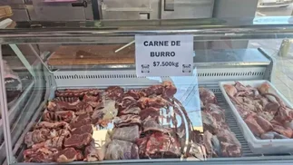 Polémica por venta de carne de burro: revelan cuánto cuesta el kilo y si es legal