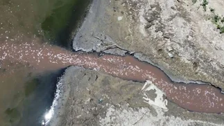 Frigorífico Absolon contaminó importante río: procesaron y embargaron a su presidente