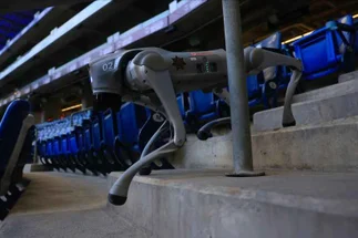 México apuesta por perros robots para la seguridad en el Mundial 2026: cómo funcionan