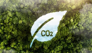 Qué son los mercados de carbono y cómo pueden sumar miles de millones en exportaciones