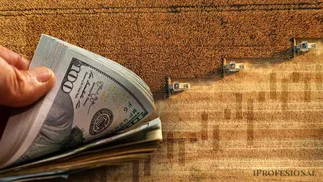 Granos sin vender: cuántos dólares podrían ingresar al mercado cambiario
