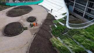 'Una obra sin precedentes': dónde estará la cubierta verde inclinada más grande del país