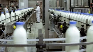 Diez empresas van por los activos de una marca histórica de lácteos y dulce de leche