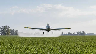 Fumigaciones tóxicas en Pergamino: absolución para productores y condena al municipio