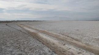 Oro blanco: se acelera la carrera del litio en un proyecto gigante de 20.000 hectáreas