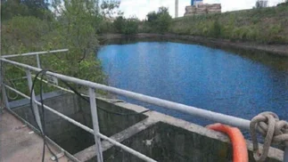 Detectaron contaminación en Río Uruguay por la papelera Botnia: informe dispara alarmas