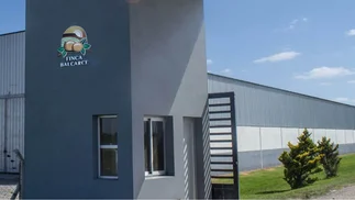 Cierra otra histórica empresa en Buenos Aires: 40 años produciendo papas congeladas