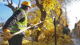 Cuándo es el Día del Trabajador Municipal y estará todo cerrado
