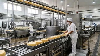 Saputo, la empresa que fabrica La Paulina, lidera el ranking de lácteas en Argentina