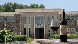 Histórica bodega mendocina despide empleados y tiene $1.600 millones en cheques rechazados