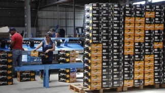 Denuncian salarios impagos y condiciones laborales extremas en una empresa